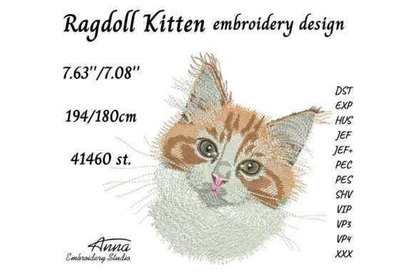 Ragdoll Kitten: A Designerโs Review for Branded Merch